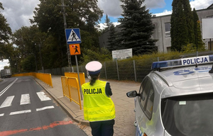 Policjant stojący przy drodze w rejonie przejścia dla pieszych.
