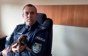 pokój , Zastępca Komendanta Policji siedzi na fotelu i trzyma na ręku szczeniaka