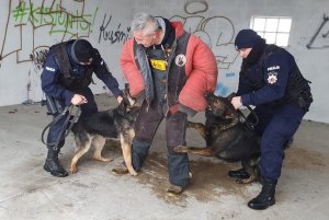 pustostan szkolenie psa służbowego pies atakuje rękaw pozoranta, dwaj policjanci obok