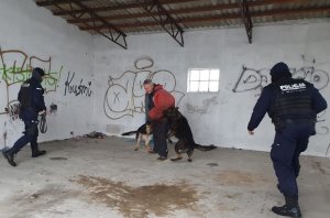 pustostan dwa psy atakuja pozoranta, policjanci obok