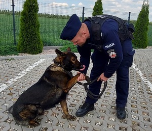 policjant trzyma za łapę psa