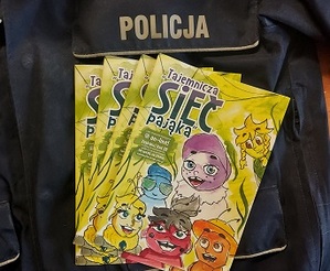 książeczki edukacyjne Tajemnicza sieć pająka.