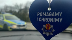 napis Pomagamy i chronimy.