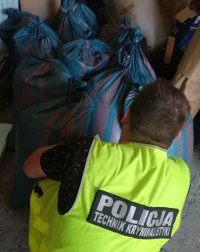 policjant podczas oględzin zabezpieczonego tytoniu.