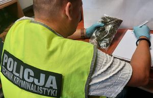 policjant zabezpiecza narkotyki.