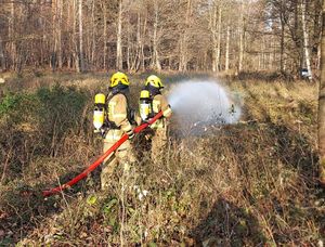 Strażacy gaszą pożar lasu.