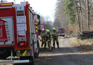 w lesie wóz bojowy strażacki i strażacy przygotowują się do akcji gaśniczej