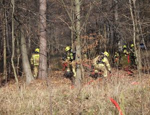 strażacy gaszą pożar lasu