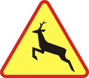 Znak ostrzegający o dzikiej zwierzynie.