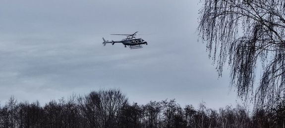 Śmigłowiec policyjny leci nad lasem.