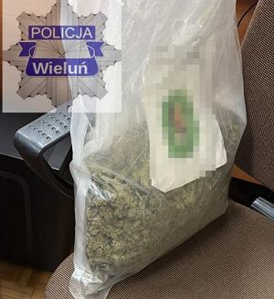 W worku zabezpieczony susz roślinny.