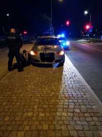 Zatrzymany siedzi przy samochodzie, obok stoi funkcjonariusz. W pobliżu zaparkowany jest radiowóz z włączonymi błyskami