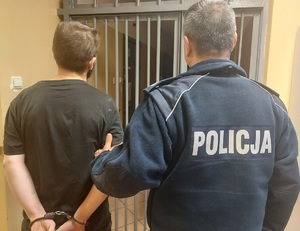 policjant prowadzi zatrzymanego. sprawca ma założone kajdanki na ręce trzymane z tyłu. zdjęcie w pomieszczeniu służbowym . W tle kraty. Osoby widać tyłem, od głowy do pasa.