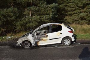 widok uszkodzonego auta, po pożarze. auto stoi przy drodze, dalej las.