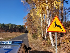 znak ostrzegawczy dotyczący zwierzyny leśnej, droga, las, dach, radiowóz policyjny.