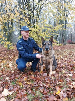 policjant z psem służbowym ćwiczą w terenie.