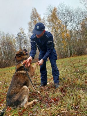 policjant z psem służbowym ćwiczą w terenie.