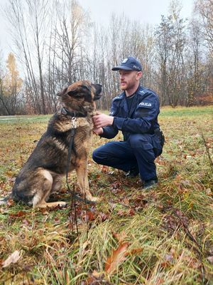 policjant z psem służbowym ćwiczą w terenie.