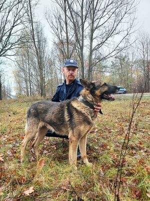 policjant z psem służbowym ćwiczą w terenie.