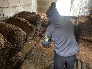 Nieumundurowany policjant prowadzi czynności procesowe z materiałem dowodowym.