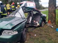 Miejsce zdarzenia drogowego w Dominikowicach. Zielone audi A4 rozbite na drzewie. W tle karetka pogotowia i pracujący ratownicy.