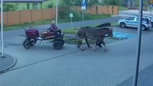Woźnica powozi konie, wjeżdża na parking.