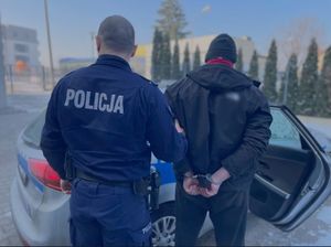 Policjant wraz z mężczyzną przy radiowozie. Stoją tyłem. Mężczyzna ma założone kajdanki na ręce trzymane z tyłu.