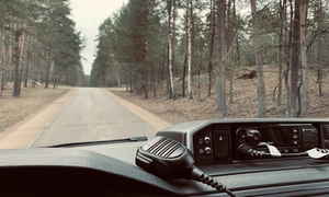 Zdjęcie wykonane z radiowozu, na leśną drogę.