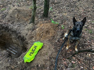 Po lewej stronie dół, przy nim odblaskowa kamizelka z napisem Policja, obok siedzi służbowy pies.