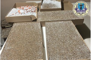 W kartonach są równo poukładane papierosy bez pudełek.