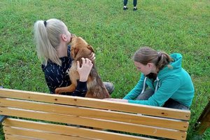 Policjantka oraz pracownicy sklepu  wybierają kuchnie gazową, mutują w domu , widać stojąca policjantkę na tle samochodu dostawczego oraz rozpakowującą kuchnię w domu . Na zdjęciach widać także wolontariuszy w schronisku dla zwierząt