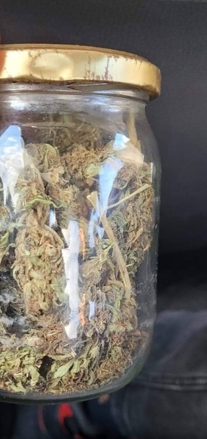 słoik wypełniony suszem roślinnym- marihuana