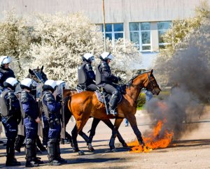 Na zdjęciu widoczni są funkcjonariusze z tarczami w ręku. Przed nimi idą funkcjonariusze na koniach w stronę ognia i dymu.